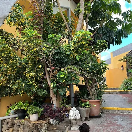 Big At Lila Gæstehus *