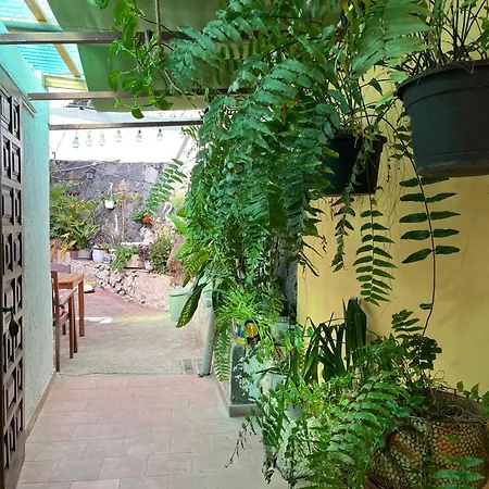 Pensión Big At Lila Puerto de la Cruz (Tenerife)